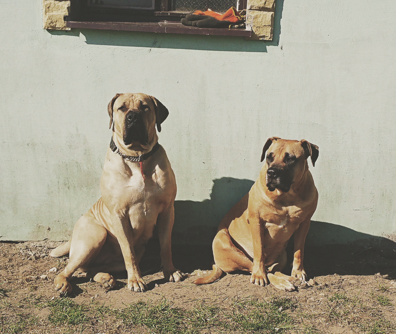 35541610_837251346471140_2541618417203412992_n copy